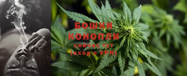 хмурый Абаза