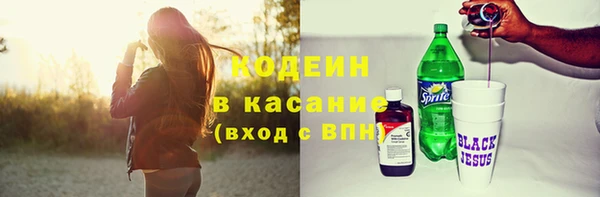 хмурый Абаза
