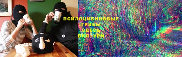 хмурый Абаза