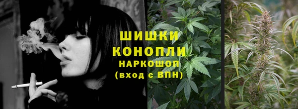 хмурый Абаза