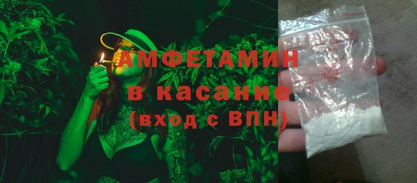 хмурый Абаза